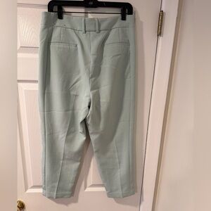 Express Women's Mint Green Pants
